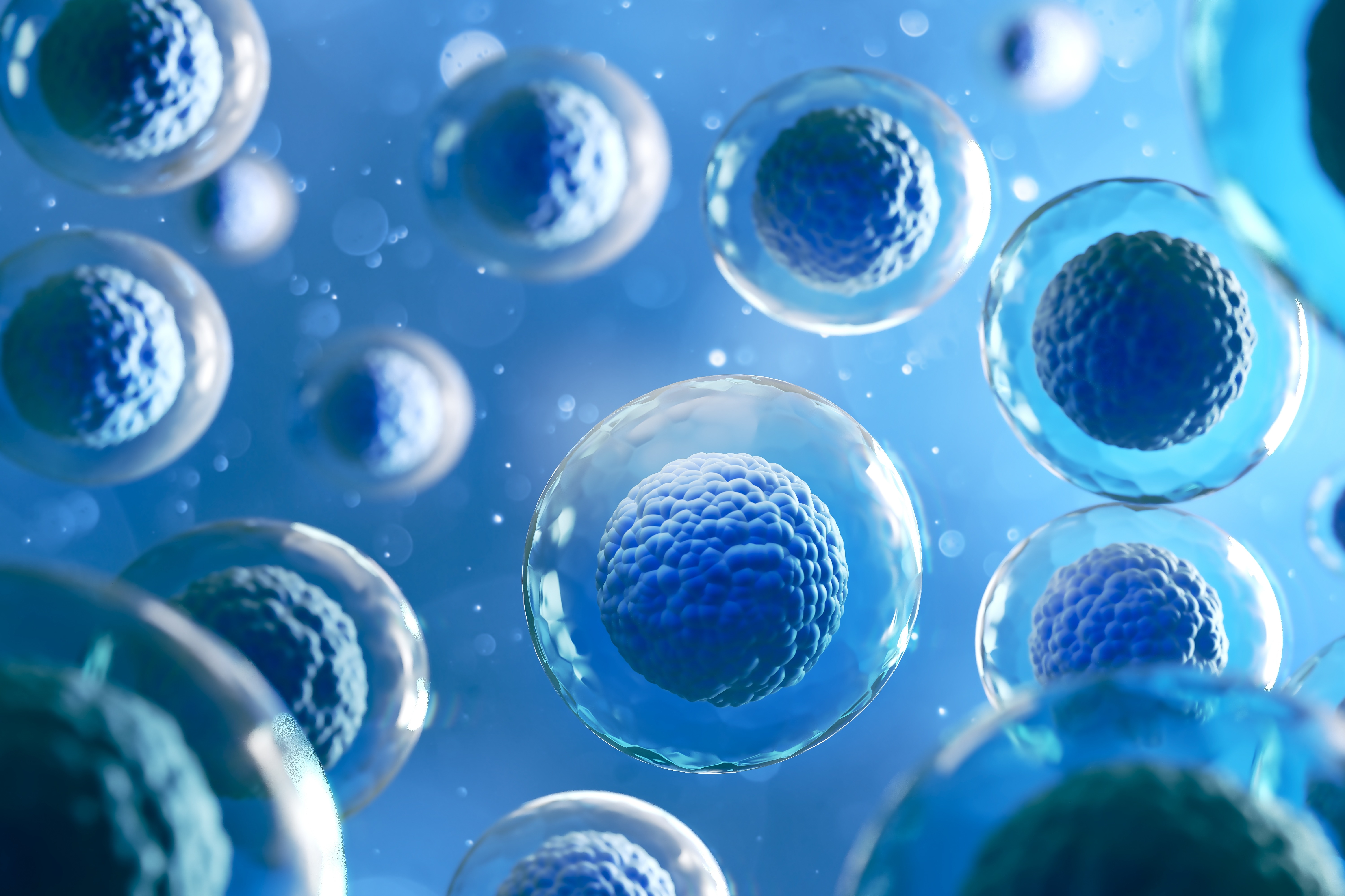 Seleo de embries com IA: conhea a tecnologia EMBRYOAID