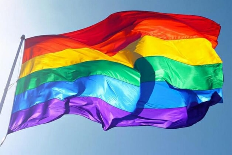 Casais homoafetivos e opes de tratamento