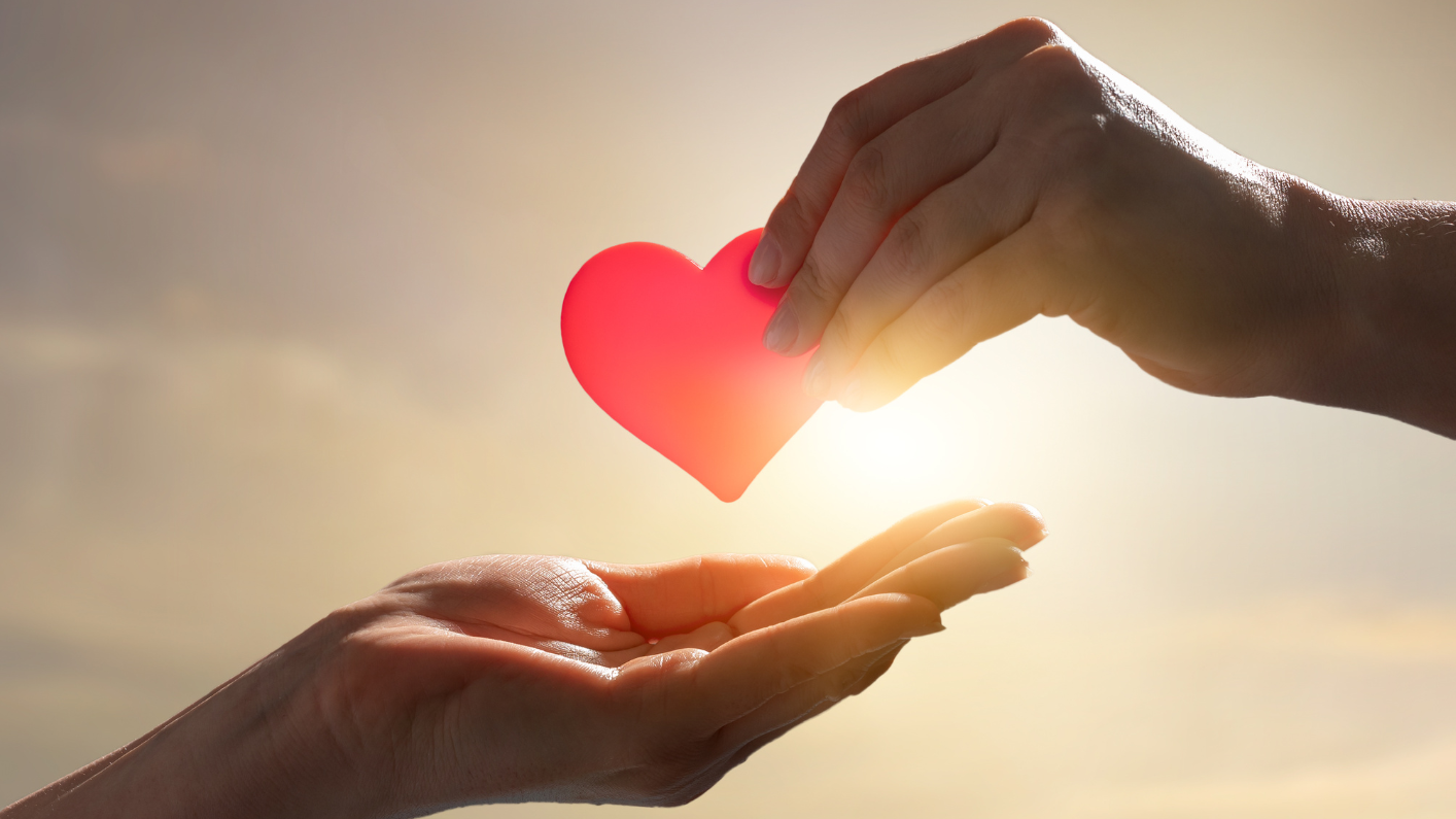 Doa��o de �vulos: Um Ato de Generosidade que Transforma Vidas