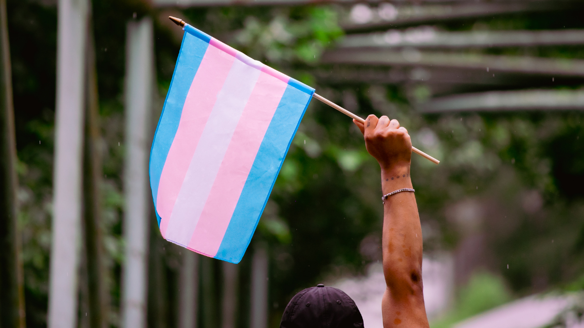 Pessoas Trans Podem Preservar Fertilidade?